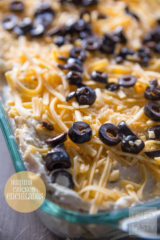 Yummy Chicken Enchiladas // Not sure what to make for dinner? THese enchiladas are the most delicious that you'll find. They come together in a jiffy, packed with great cheesy flavor, and perfect any night of the week! | Tried and Tasty