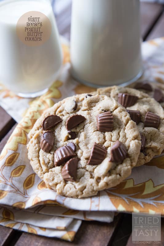 Giant Reese's Peanut Butter Cookies // These giant-sized cookies are a peanut butter lovers dream. Made with Resse's Peanut Butter Cups, peanut butter AND chocolate chips - these will be eaten before they've cooled! | Tried and Tasty
