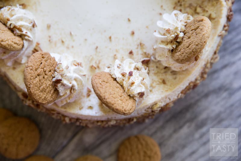 Pumpkin Cheesecake with Gingersnap-Pecan Crust // If you're looking for a light, yet decadent festive desert for the holiday season look no more. This pumpkin cheesecake will quite literally melt in your mouth! Perfectly paired with gingersnaps and pecans it's a dessert you don't want to miss! | Tried and Tasty