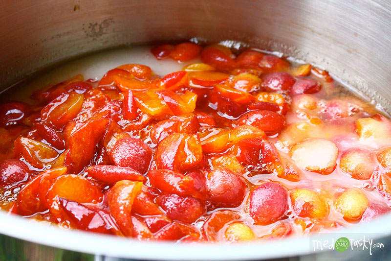 Plum Jam // Canning is fun to learn, especially when you can delicious things such as Plum Jam! | Tried and Tasty