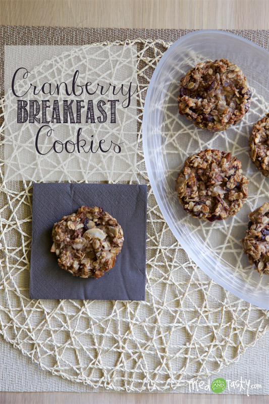Cranberry Breakfast Cookies // TriedandTastys-01