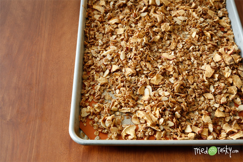 Honey Apple Granola //  This sweet and tasty granola is perfect on top of yogurt for breakfast or a snack! | Tried and Tasty