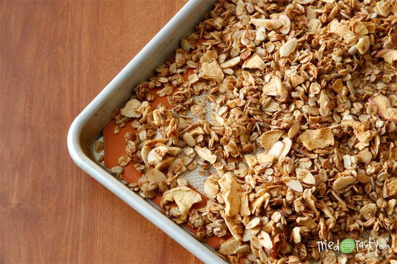 Honey Apple Granola //  This sweet and tasty granola is perfect on top of yogurt for breakfast or a snack! | Tried and Tasty