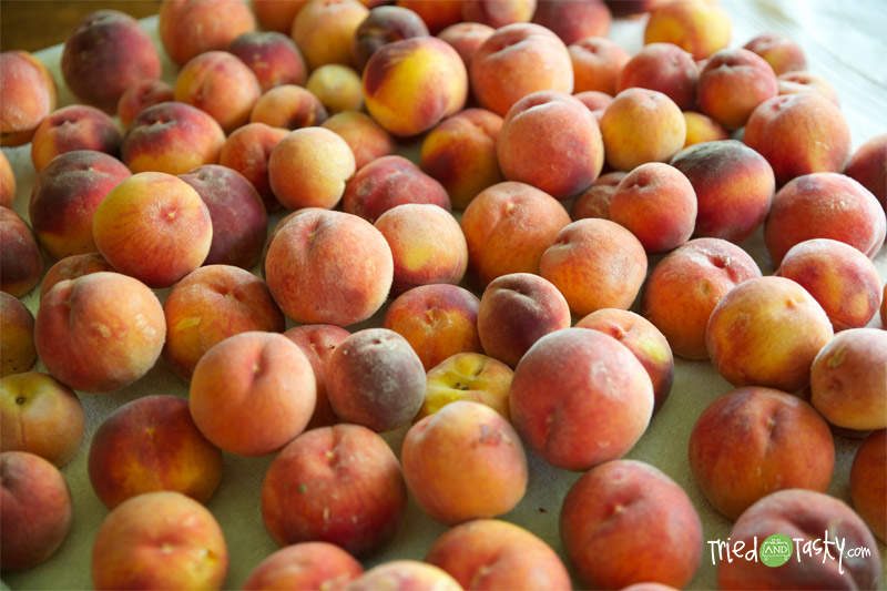 Canning Peaches // Try canning your fresh peaches so you can enjoy them all year! | Tried and Tasty