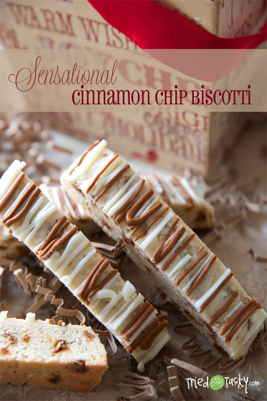 Cinnamon Chip Biscotti // These are a little softer than your average biscotti and are perfect served with a warm beverage or alone! | Tried and Tasty