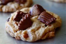 Cookie & Bar Recipes