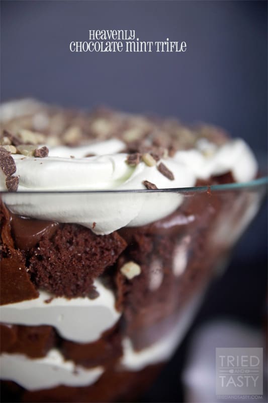 Chocolate Mint Trifle // Tried and Tasty