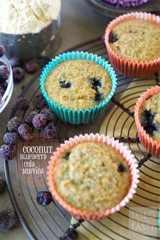 Coconut Blueberry Chia Muffins // The most delicious healthy gluten & dairy free muffin you'll have! I stand behind every ingredient in this recipe and absolutely LOVE the end result. Great for the calorie conscious and even wonderful for those who aren't. | Tried and Tasty