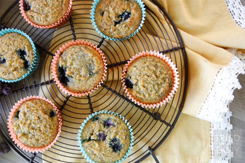 Coconut Blueberry Chia Muffins // The most delicious healthy gluten & dairy free muffin you'll have! I stand behind every ingredient in this recipe and absolutely LOVE the end result. Great for the calorie conscious and even wonderful for those who aren't. | Tried and Tasty