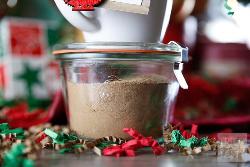 Homemade Organic Hot Cocoa Mix // The best homemade hot cocoa mix around. Just add water and sip this yummy treat while watching your favorite holiday movie! | Tried and Tasty