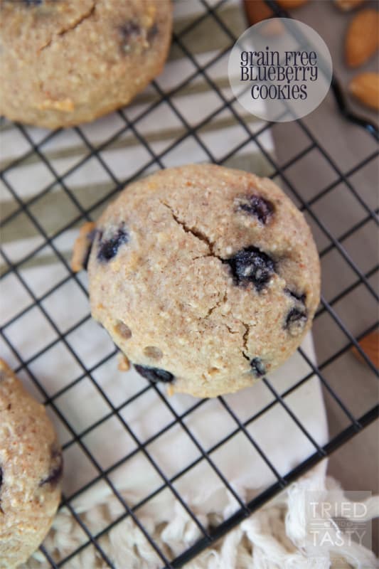 Grain-Free Blueberry Cookies // Tried and Tasty