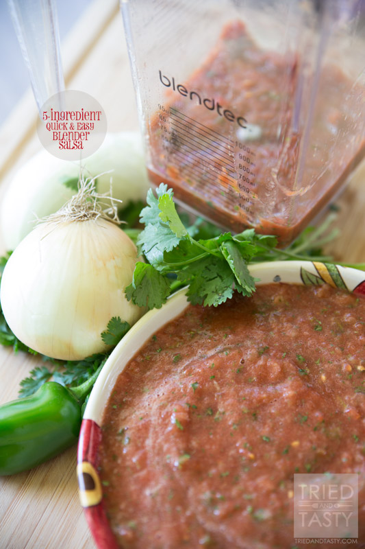 Five Ingredient Blender Salsa // Want restarant style salsa but don't have a lot of time on your hands? This quick & easy recipe only requires FIVE ingredients and can be whipped together in no time with the help of your high speed blender! | Tried and Tasty