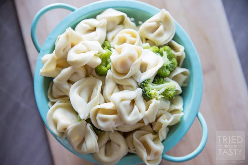 One Pot Chicken & Broccoli Tortellini // Five ingredients, 30 minutes, and one delicious dinner the whole family will love! Made with Prego Alfredo you'll have a flavorful & saucy dinner perfect for any day of the week! | Tried and Tasty