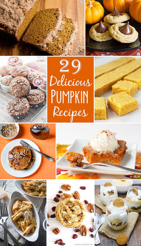 29 Delicious Pumpkin Recipes // Tried and Tasty