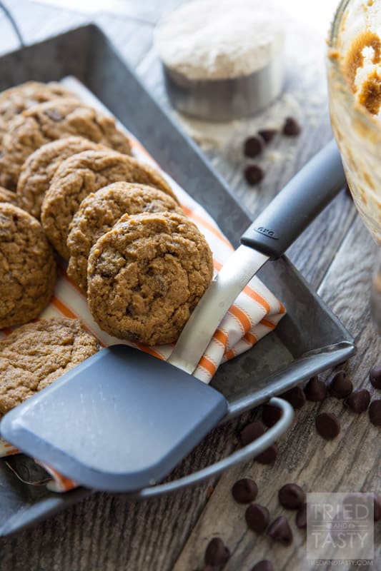 Whole Wheat Pumpkin Chocolate Chip Cookies // These cookies are phenomenal! They are made with whole wheat flour and have just enough pumpkin to make them perfect for Halloween or Thanksgiving. Nothing screams fall like pumpkin chocolate chip cookies, and these happen to be a little bit healthier for you! | Tried and Tasty