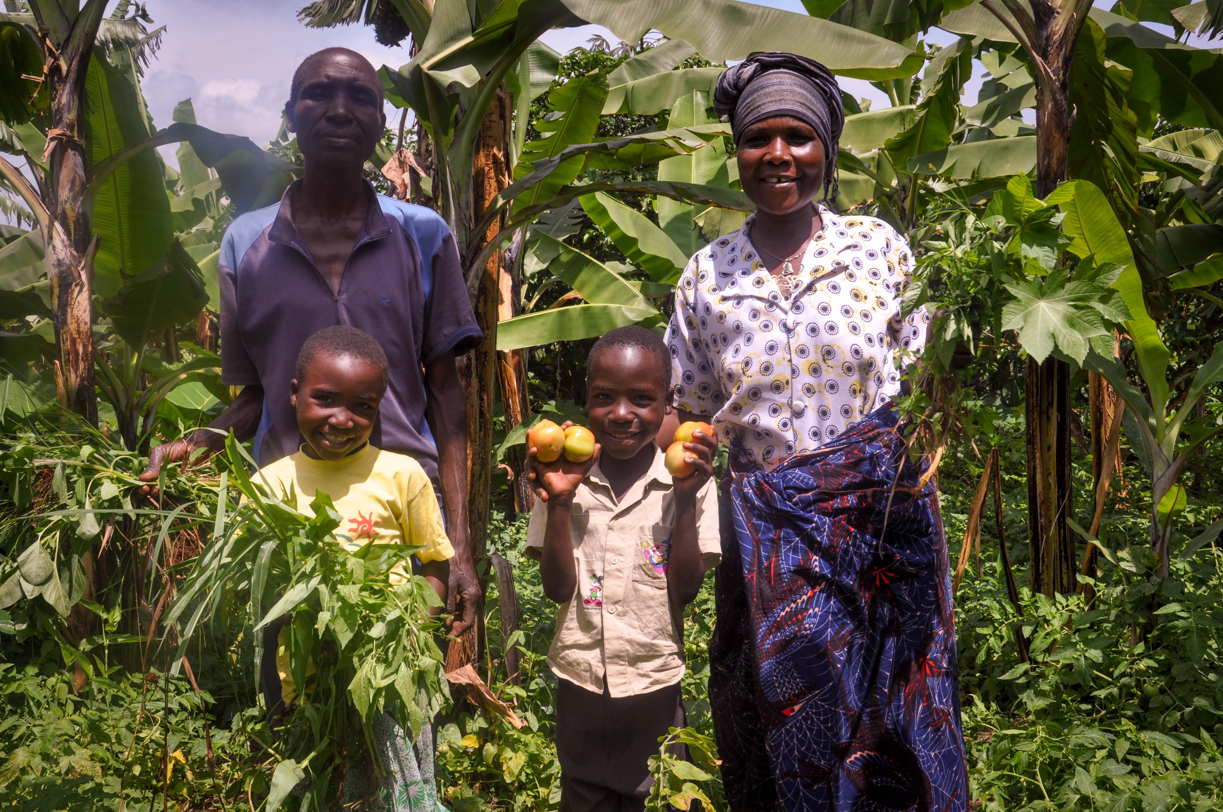 A World Vision Tanzania sponsored child Vanessa (6) (second right) standing with her family at their farm picking ripe tomatoes