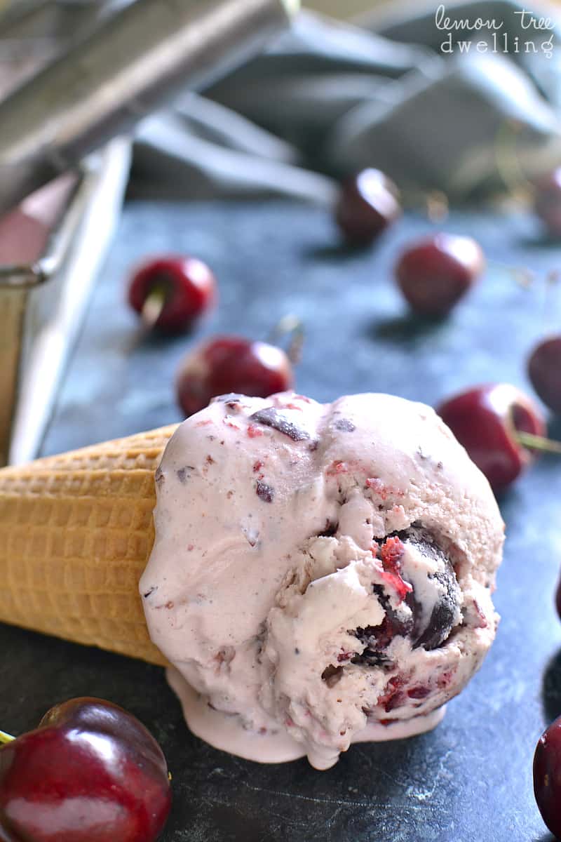 Cherry Vanilla Ice Cream watermark