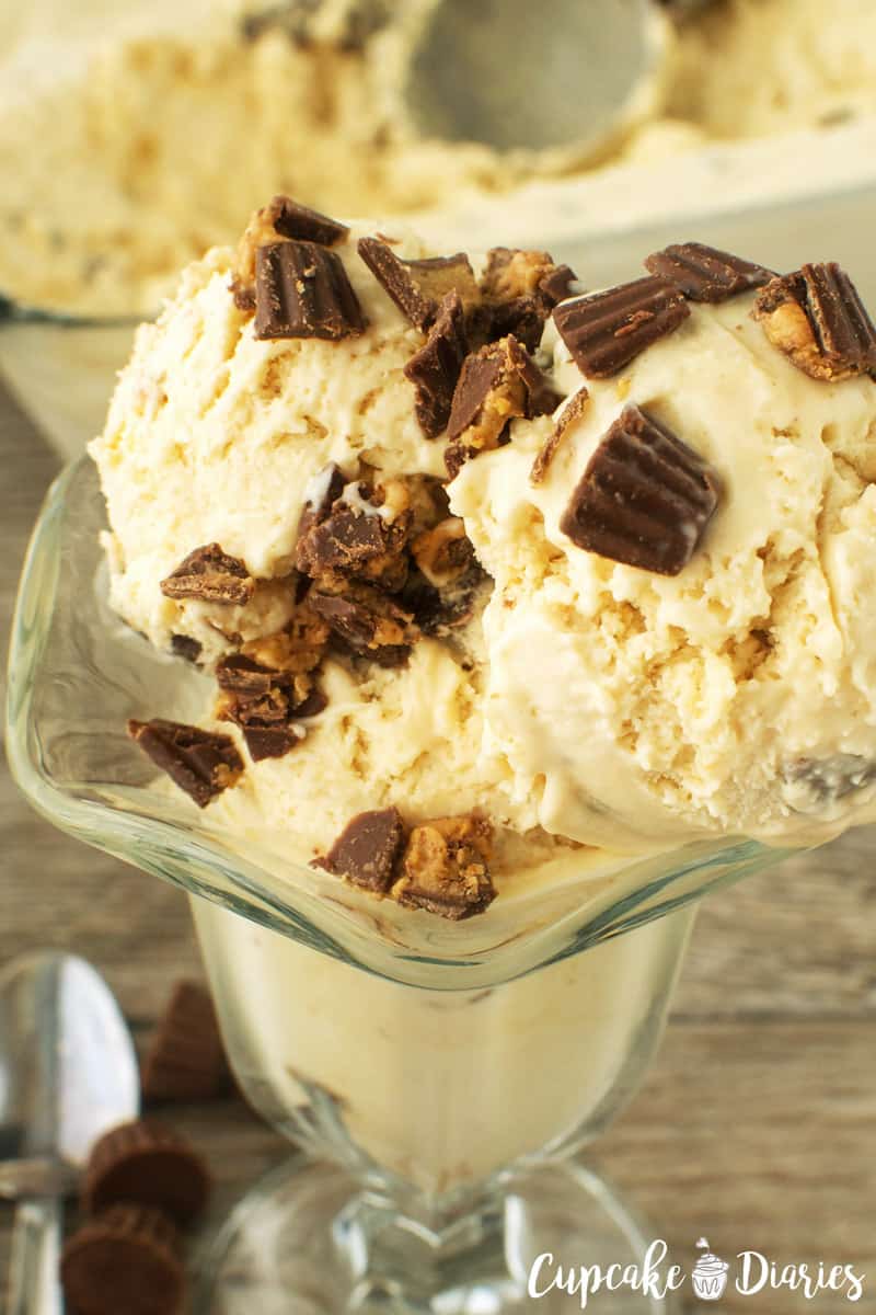 peanut-butter-cup-ice-cream-WM