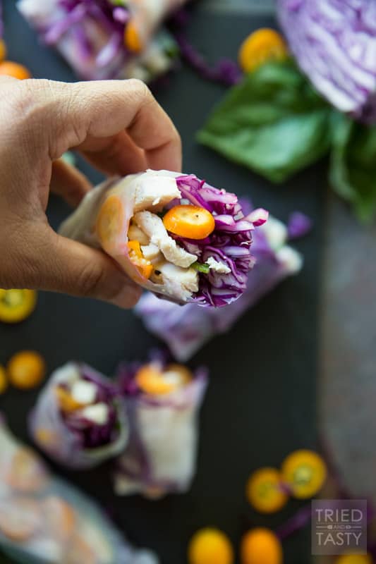 Summer Cabbage Spring Rolls // If you're looking for a refreshing, five ingredient, quick & easy appetizer (that could even double as a light lunch) - these spring rolls are exactly what you need! With flavors as vibrant as the colors, you can snack easy knowing you've got a tasty AND healthy option for any day of the week! | Tried and Tasty