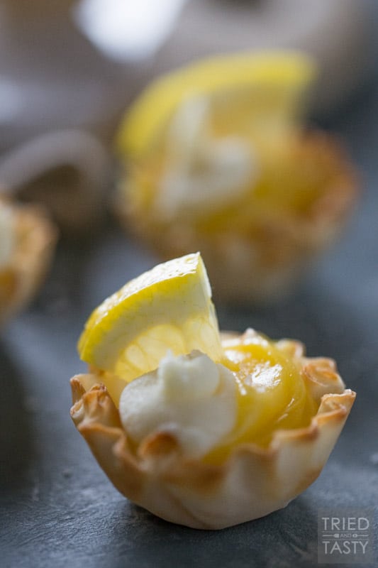 Salted Lemon Tartlets // If you want a sweet ending to a delicious meal without going overboard these bite-sized lemony treats are just what you've been looking for! Super simple to make, the perfect amount of zing & a secret twist of perfect saltiness! | Tried and Tasty